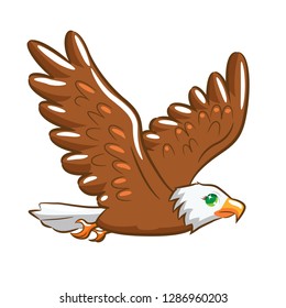 Eagle flying food