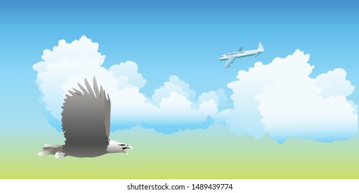 Eagle flying high in the sky
