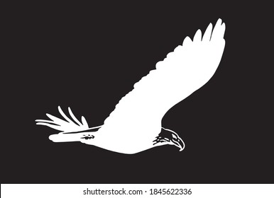 Eagle flying on black background, vector illustration