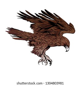 eagle flying on white background, vector