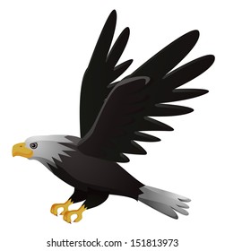 Eagle flying on white background