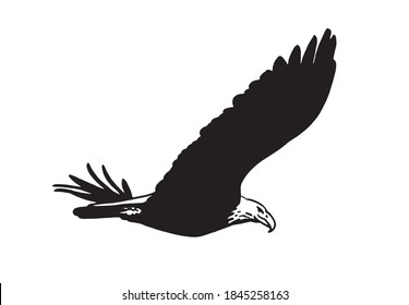 Eagle flying on white background, vector illustration