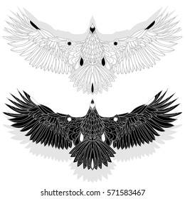 Eagle flying on white background illustration.