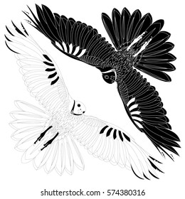 Eagle flying on white background illustration.