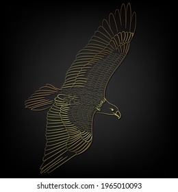 eagle flying over black background ,illustration Golden border tattoo over black background