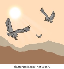 eagle flying over mountainous terrain at sunset