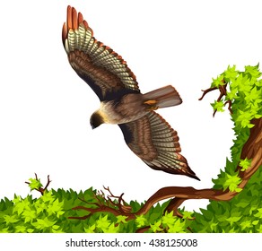 Águila volando sobre la ilustración del árbol