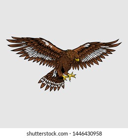 Eagle flying prepare to cathing