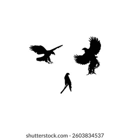 Eagle flying silhouette with illustration