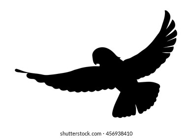 Eagle flying silhouette isolated on white background. Vector illustration