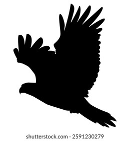 Eagle Flying silhouette. eagle silhouette. Eagle logo. black eagle silhouette.