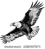 eagle flying ,sketch vector graphics monochrome illustration , Engraving