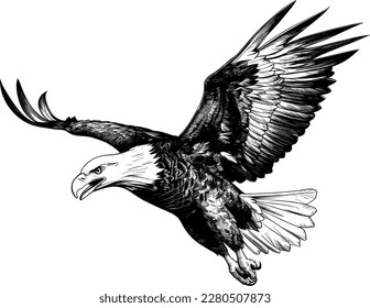 eagle flying ,sketch vector graphics monochrome illustration , Engraving