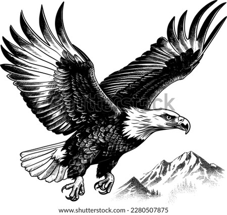 eagle flying ,sketch vector graphics monochrome illustration , Engraving