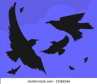 eagle flying in sky	