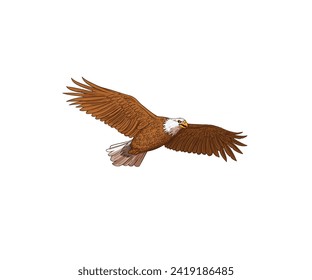 Eagle flying vector logo design elements