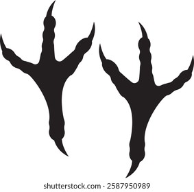 eagle footprint,  Eagle bird footprint.