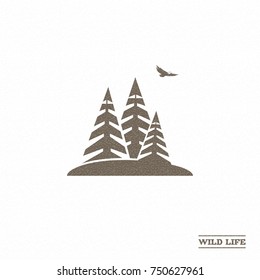 Eagle. Forest