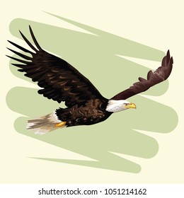 45,007 Eagle Flying Stock Vectors, Images & Vector Art | Shutterstock