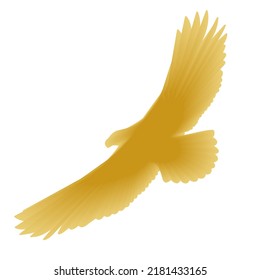 Eagle, gold emblem design.  Vector illustration
