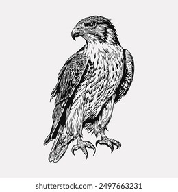 Eagle hand drawn artwork vector illustration