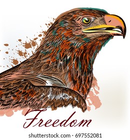 Eagle hand drawn bird illustration in engraved and watercolor style