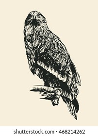 Eagle. Hand Drawn Design Element. Vector Illustration.
