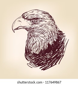 Eagle - hand drawn  vector illustration  isolated