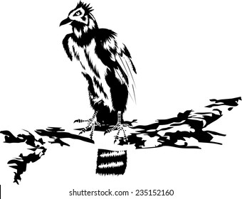 Eagle harpy sitting on tree black white colored