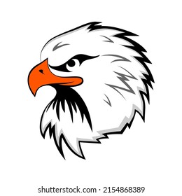 The eagle has white feathers. white background.