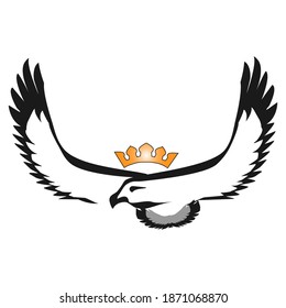 An eagle or a hawk, a bird of prey, spread its wings and flies.  Vector illustration.