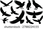 Eagle and hawk bird silhouette collection with flying raptor poses isolated on gray background vector set.eps
