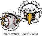 An eagle or hawk or falcon baseball softball bald eagles mascot