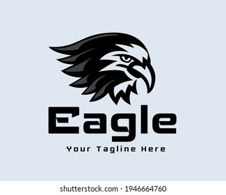 eagle hawk falcon bird head drawing art illustration logo symbol inspiration