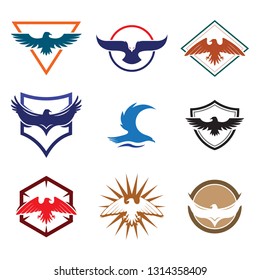 Eagle Hawk Falcon Bird with Shield Logo Collection