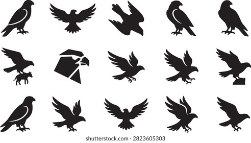 Eagle hawk and falcon bird silhouettes in flying and perched poses