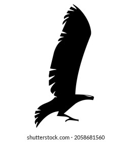 Eagle, hawk, falcon flying with spread wings, bird, predator, wild animal, wildlife, vector, illustration in black and white color, isolated on white background