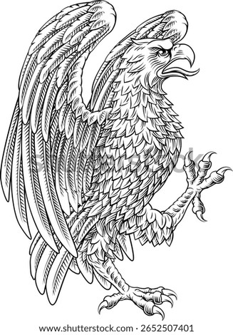 Eagle hawk or falcon heraldry coat of arms or family crest medieval shield style heraldic animal. In a vintage woodcut style.
