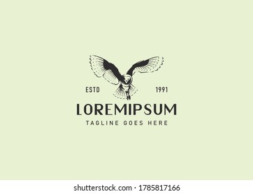 Eagle / hawk / falcon logo design inspiration. with the situation pouncing on prey
