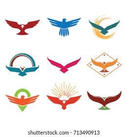 Eagle Hawk Falcon Logo Template Set