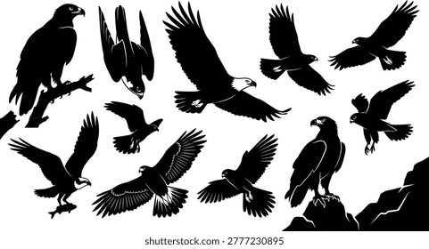 Eagle, hawk, falcon, and osprey silhouettes, flying and perched birds of prey, majestic raptor collection, wildlife nature illustration, hunters.