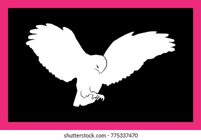 Eagle, hawk, falcon or other bird of prey