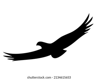 Eagle, hawk, falcon with spread wings, bird, predator, wild animal, vector, illustration in black color, isolated on white background