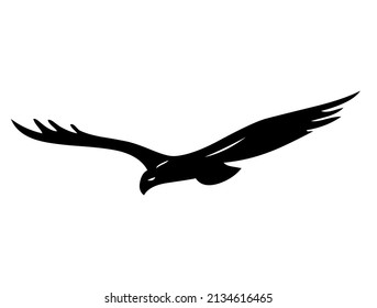 Águila, halcón, halcón con alas, pájaro, depredador, animal salvaje, vector, ilustración en color negro y blanco, aislado en fondo blanco