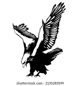 Eagle, hawk, falcon with spread wings, bird, predator, wild animal, vector, illustration in black and white color, isolated on white background