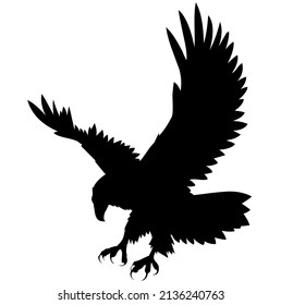 Eagle, hawk, falcon with spread wings flying, bird, predator, wild animal, vector, illustration in black color, isolated on white background