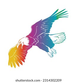 Eagle, hawk, falcon with spread wings, bird, predator illustration.