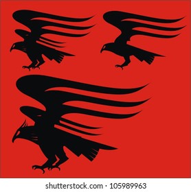 Eagle. Hawk. Flying eagle