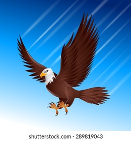 Eagle hawk flying sky bird wildlife motion.