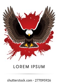 Eagle or Hawk flying, spread the wings , on grunge brush background,  vector.